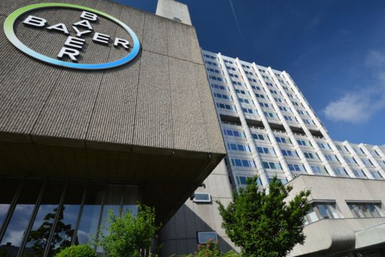 bayer